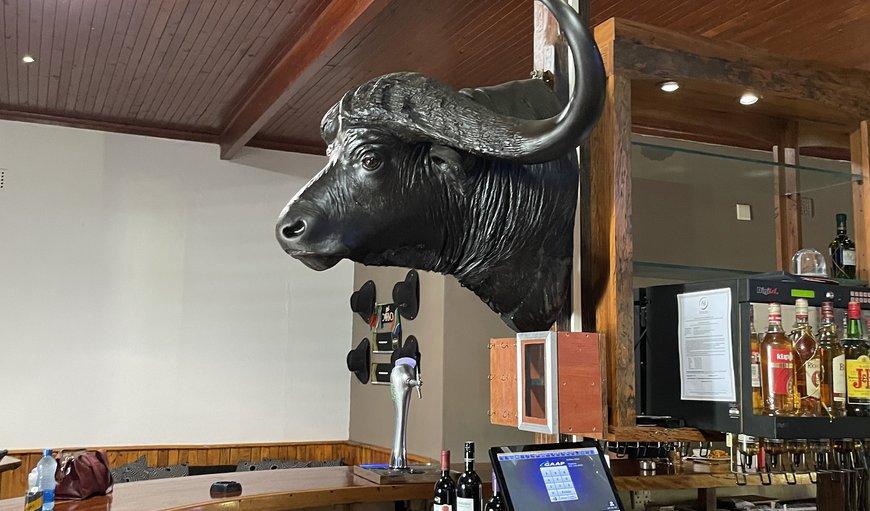 Buffalo Hotel Hectorspruit Dış mekan fotoğraf